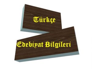 ترتيب الجامعات التركية - قسم لغة تركية وادابها